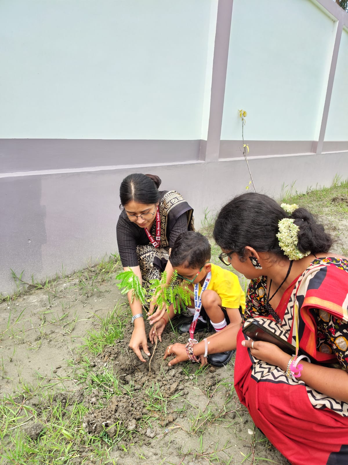 Birthday Sapling Planting